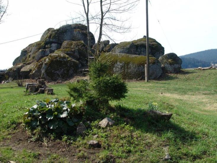 Chata Cert Josefův Důl Extérieur photo